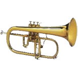 flicorni1
